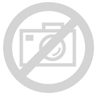 Ansprechpartner externe Drachenboottrainings