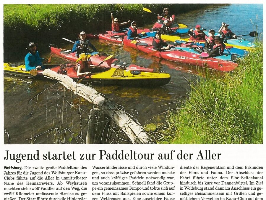 Paddeltour auf der Aller